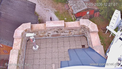 Žalý