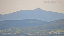 Žalý