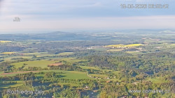 Žalý