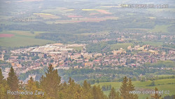 Žalý