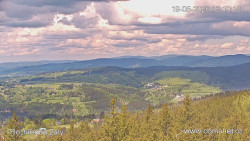 Žalý