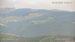 Žalý