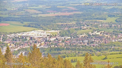 Žalý