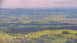 Žalý