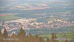 Žalý