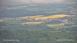 Žalý