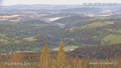 Žalý