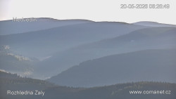 Žalý
