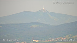 Žalý