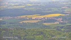 Žalý