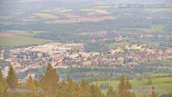 Žalý