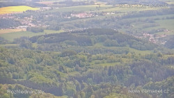 Žalý