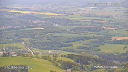 Žalý