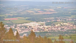 Žalý