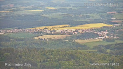 Žalý