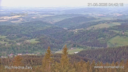 Žalý