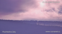 Žalý