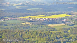 Žalý