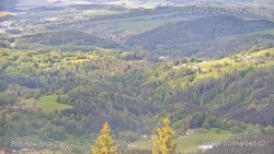 Žalý
