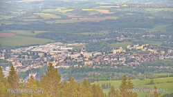 Žalý