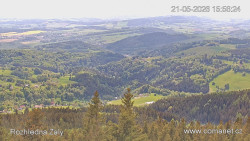 Žalý