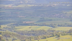 Žalý