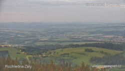 Žalý