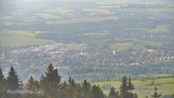 Žalý