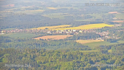 Žalý