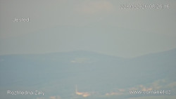 Žalý