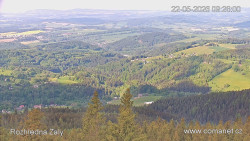 Žalý