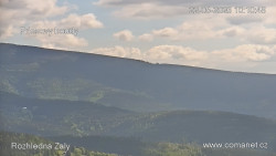 Žalý
