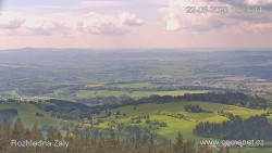 Žalý