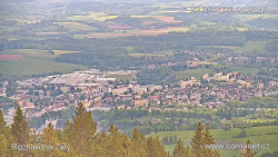 Žalý