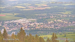 Žalý