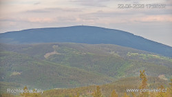 Žalý