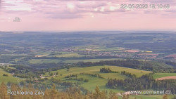 Žalý