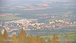 Žalý