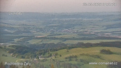 Žalý