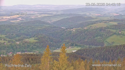 Žalý