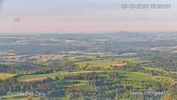 Žalý