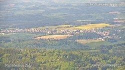 Žalý