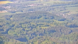 Žalý
