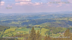 Žalý