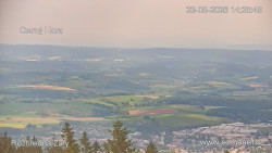 Žalý