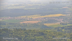 Žalý
