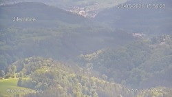 Žalý