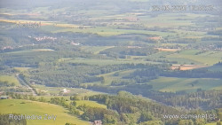 Žalý