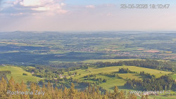 Žalý