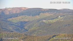 Žalý
